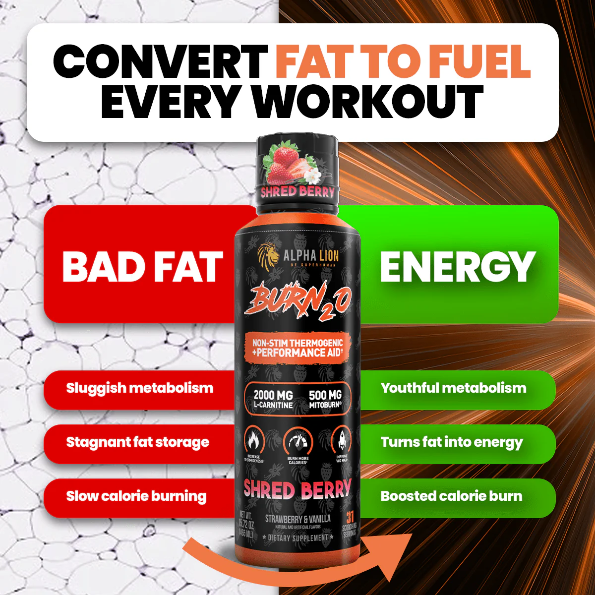 Alpha Lion | Super Human Scorch (Now Burn2O)