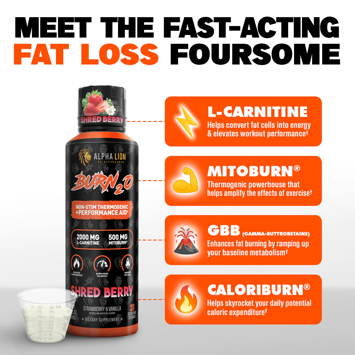 Alpha Lion | Super Human Scorch (Now Burn2O)