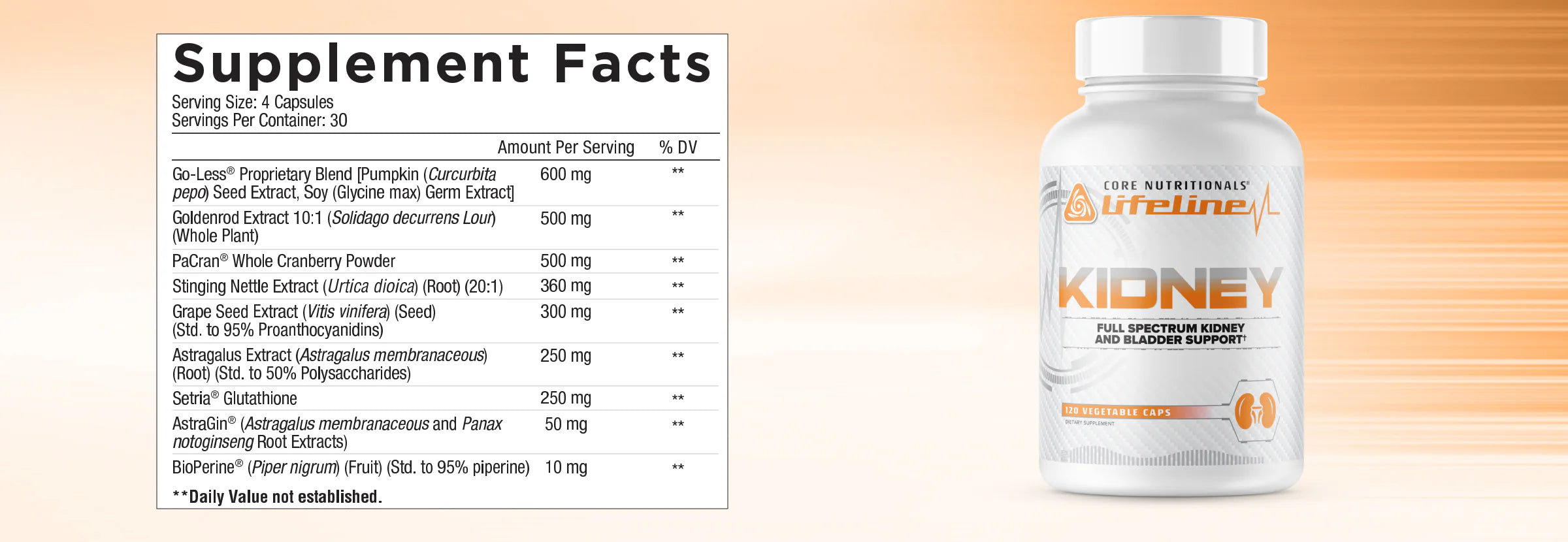 Core Nutritionals | Kidney