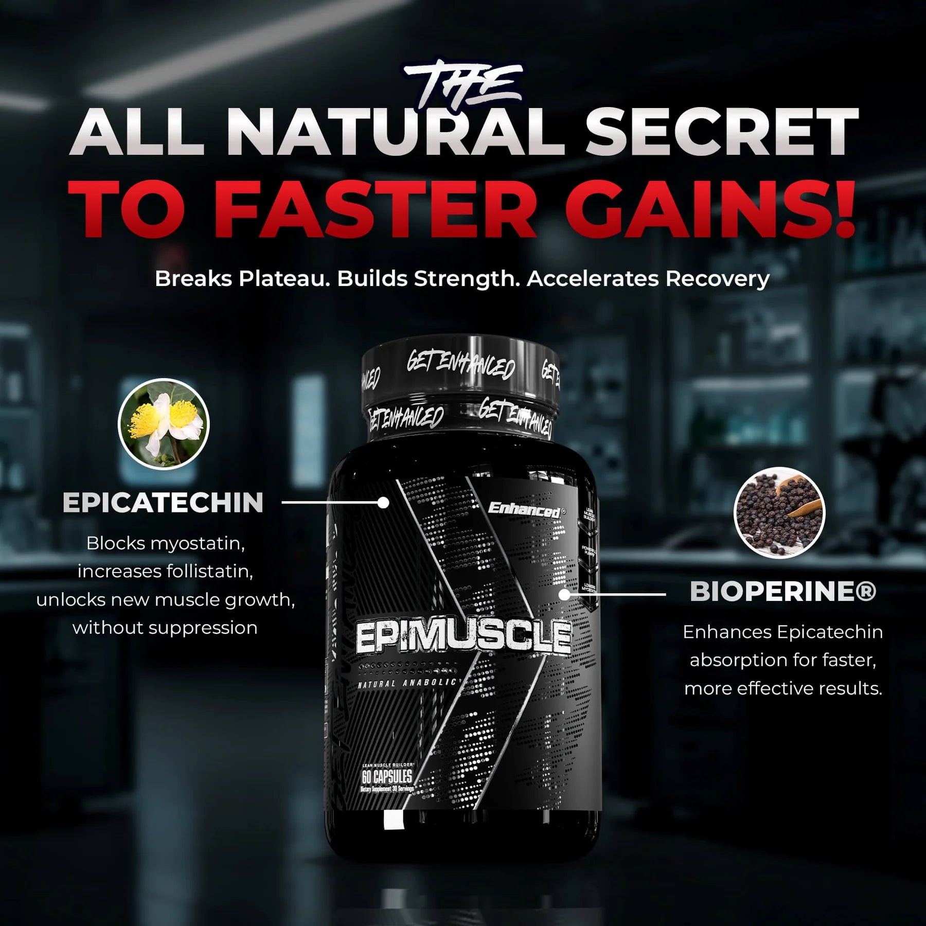 Enhanced | Epimuscle | Epicatechin | Natural Muscle Bulder