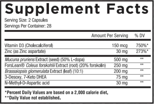 Core Nutritionals | Alpha
