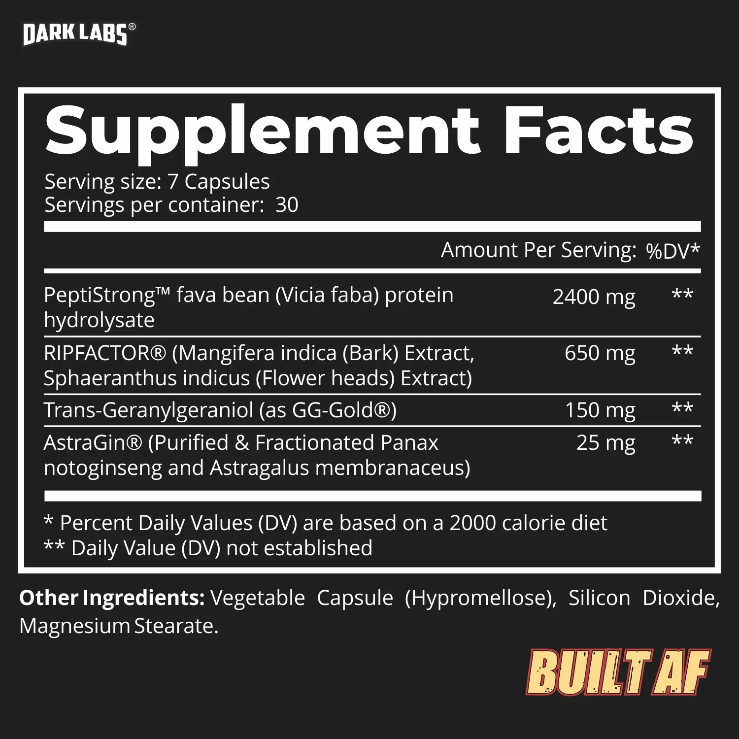 Dark Labs | Built AF