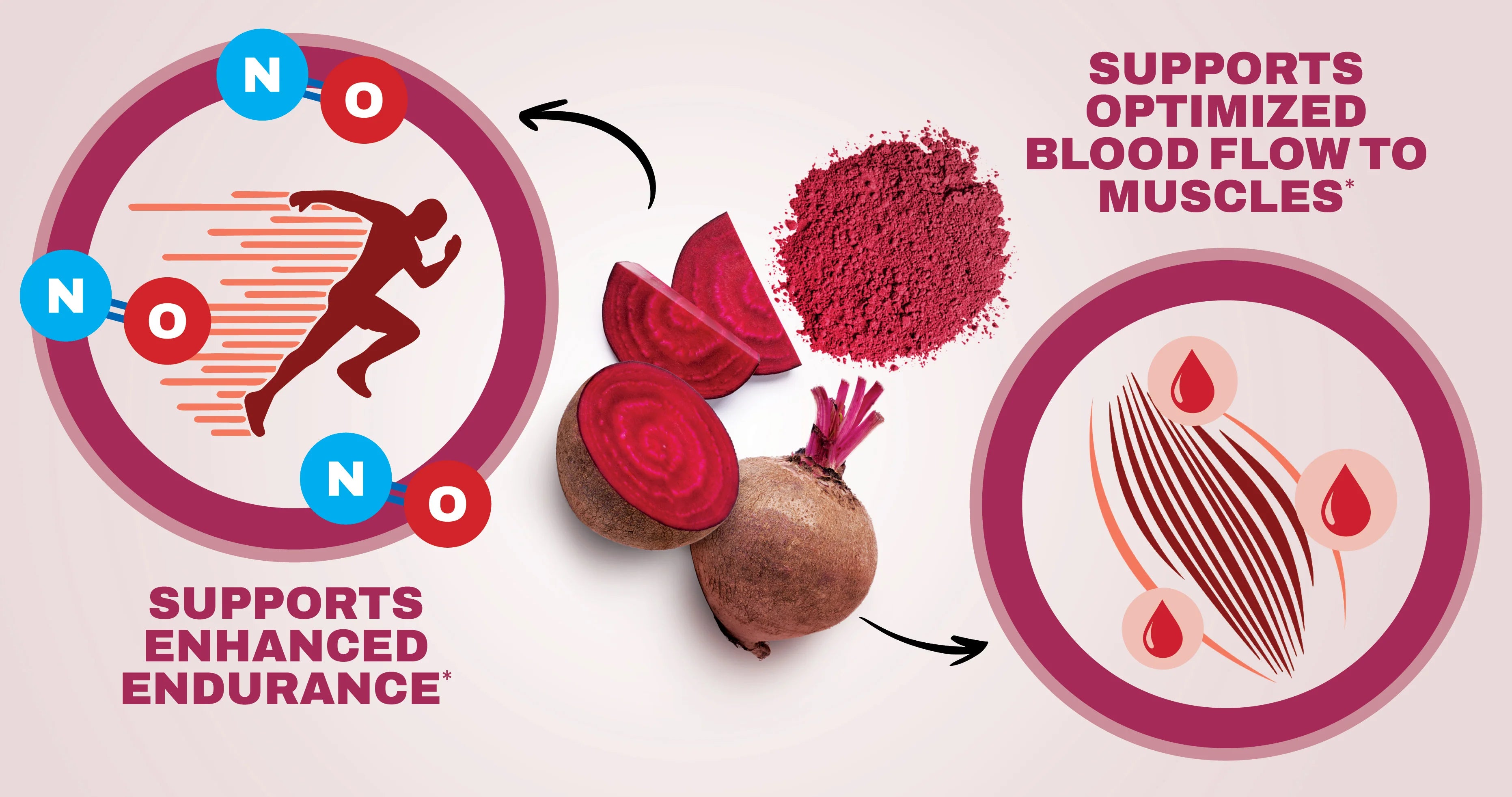 NutraBio | Beet Root Powder