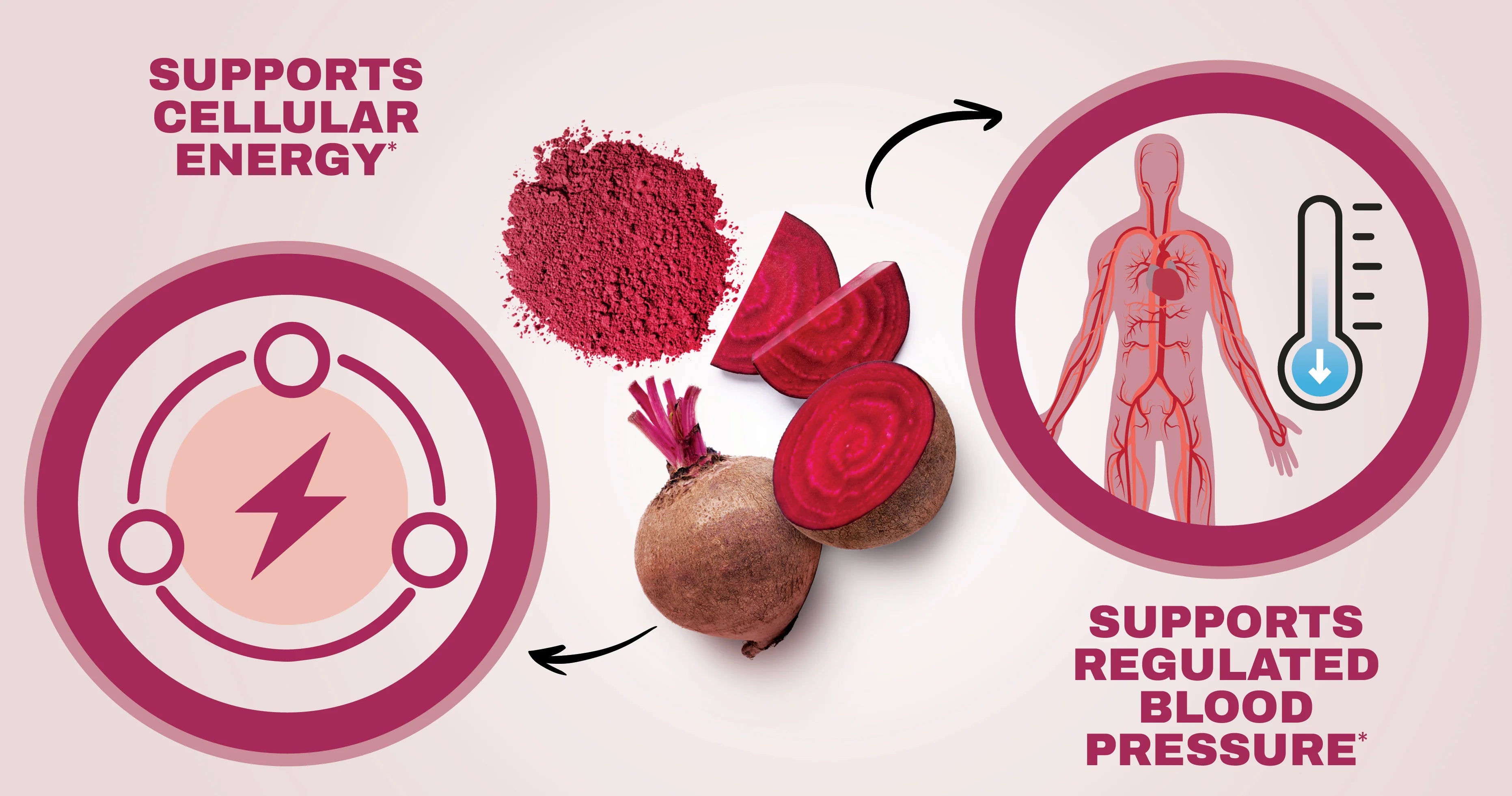 NutraBio | Beet Root Powder
