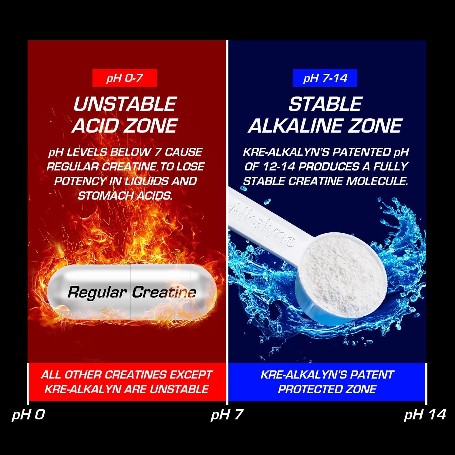 EFX Sports | Kre-Alkalyn Powder | PH-Correct Creatine Monohydrate