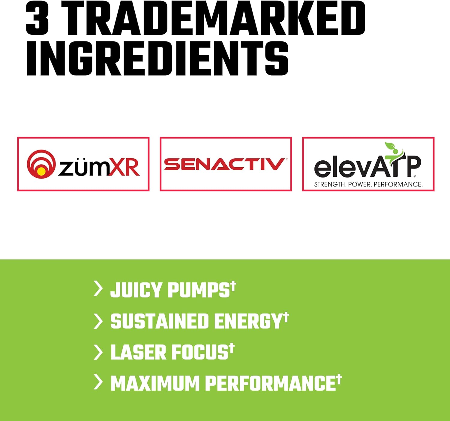 Axe & Sledge | Intake | Pre-Workout