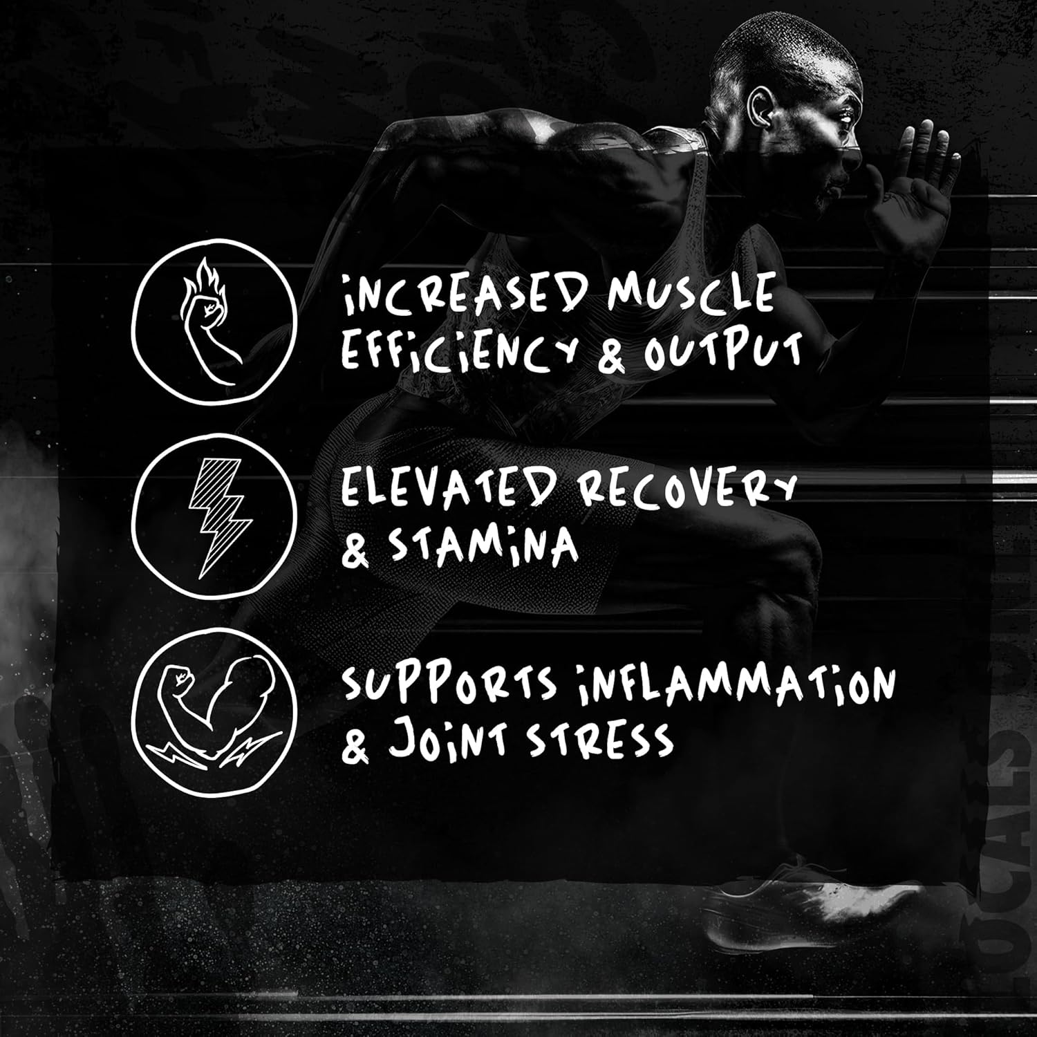 Afterdark | OrganX | Organ Defender