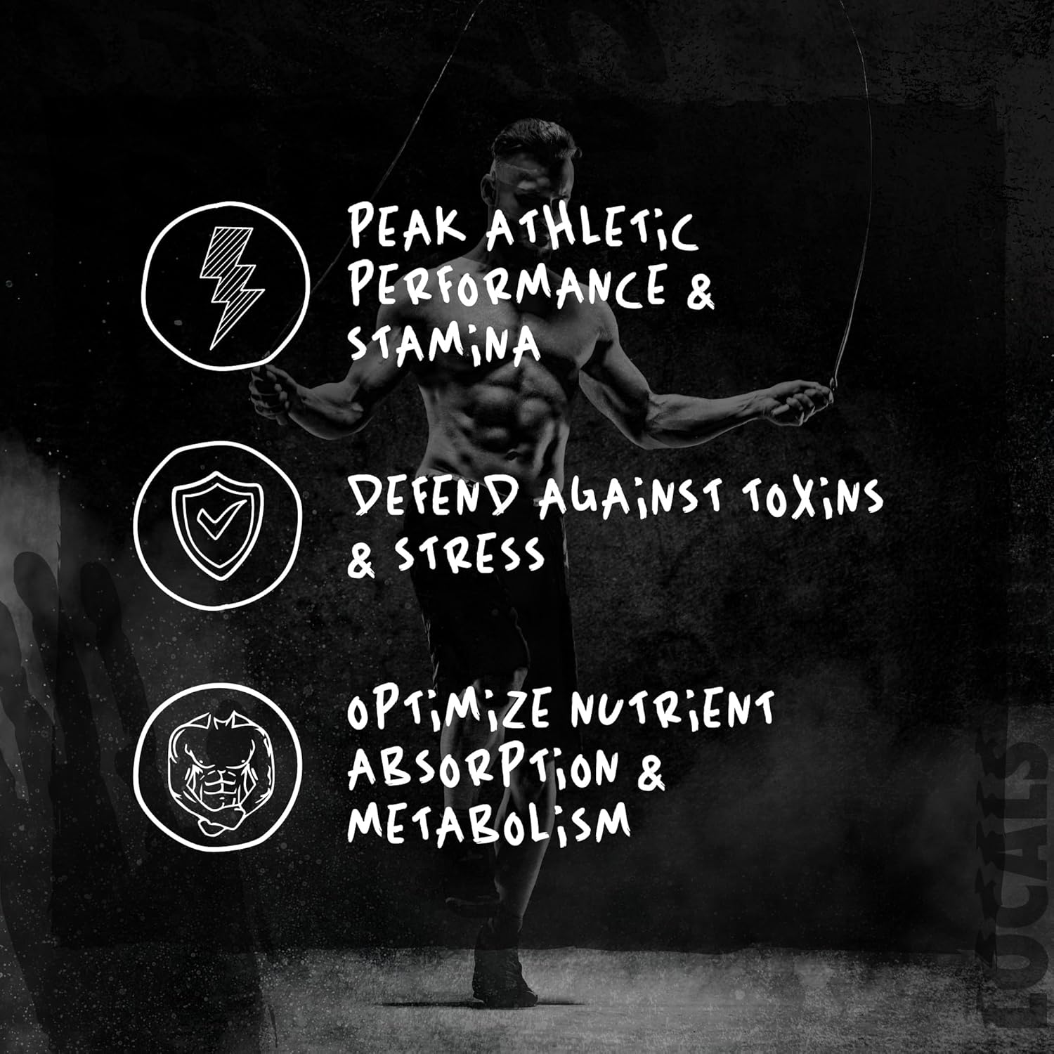 Afterdark | TUDCA | Liver Support