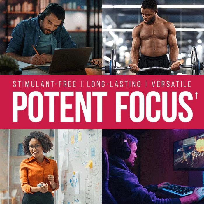 Alpha Lion | Super Human Focus