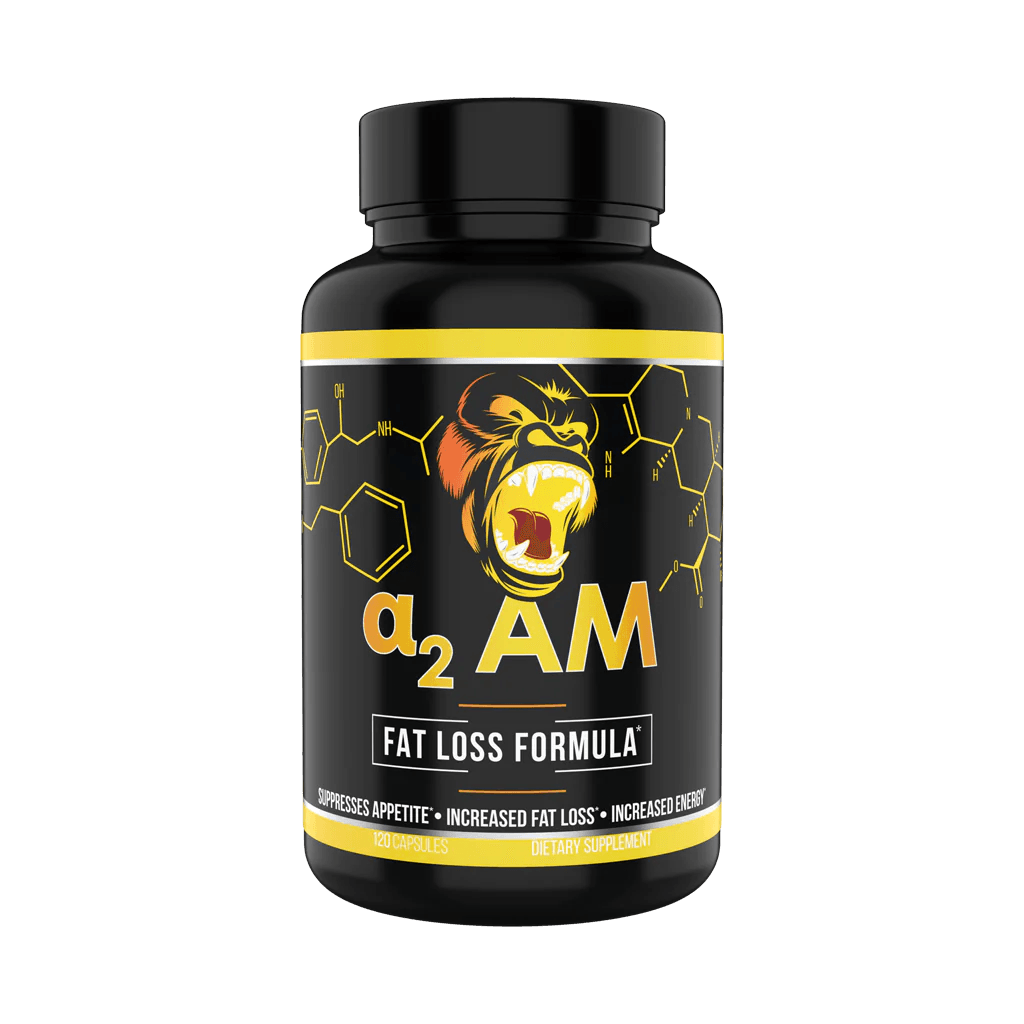 Gorilla Mind | A2 AM (Now Cyclean AM)