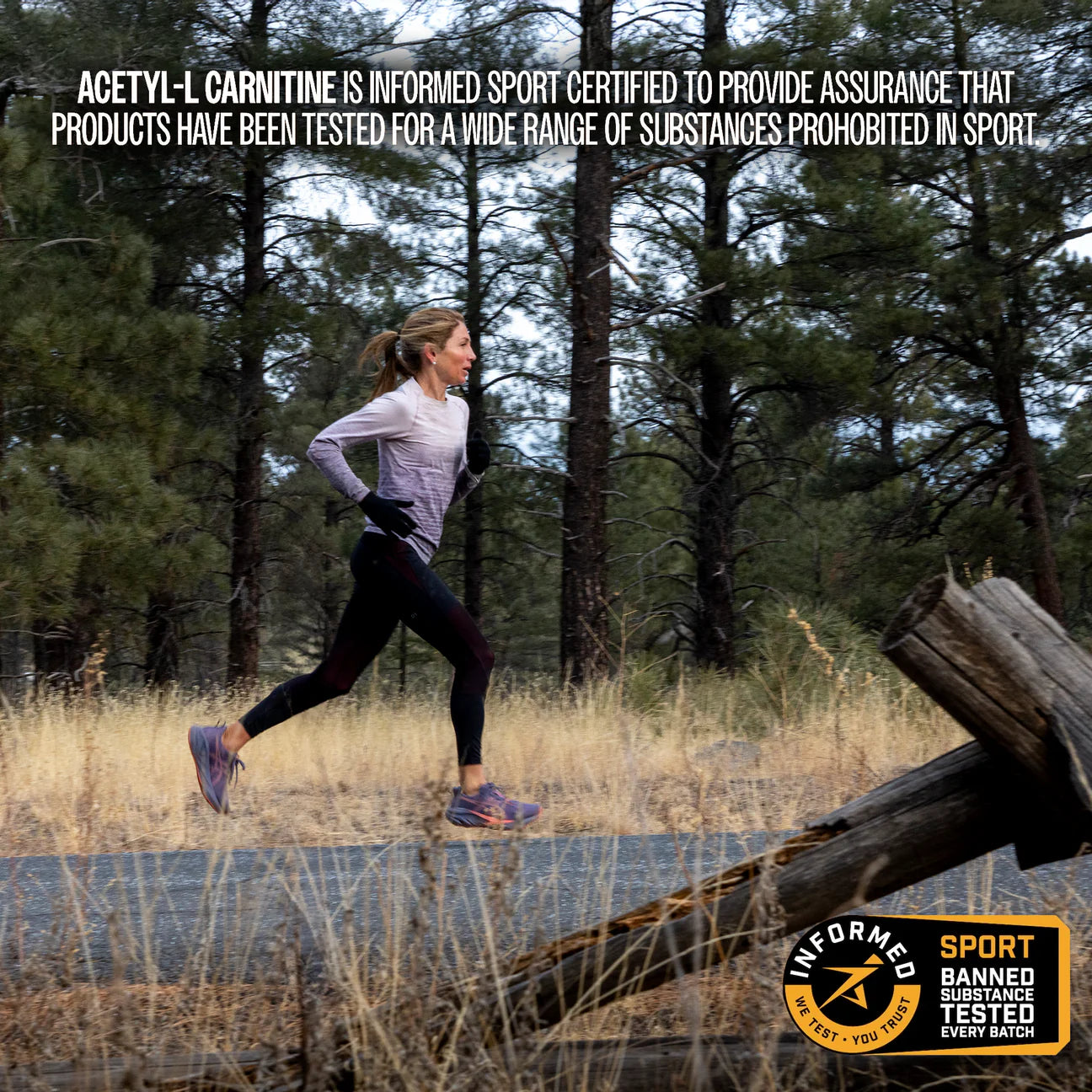 Raw Nutrition | Acetyl-L-Carnitine