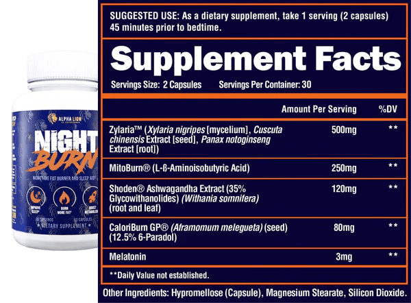 Alpha Lion | Dad Bod Stack