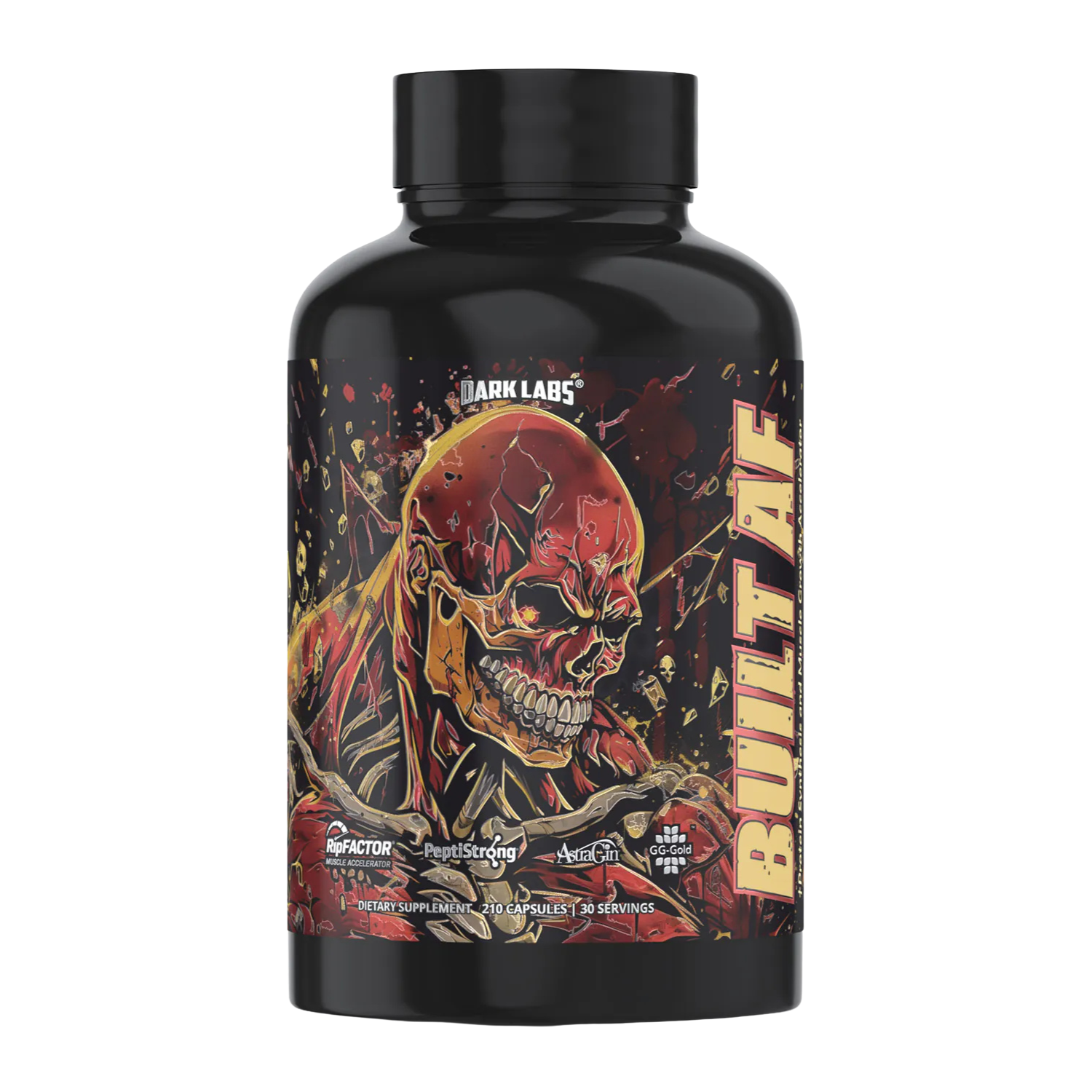 Dark Labs | Built AF