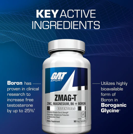 GAT Sport | ZMAG-T - In Action | Nutrastop