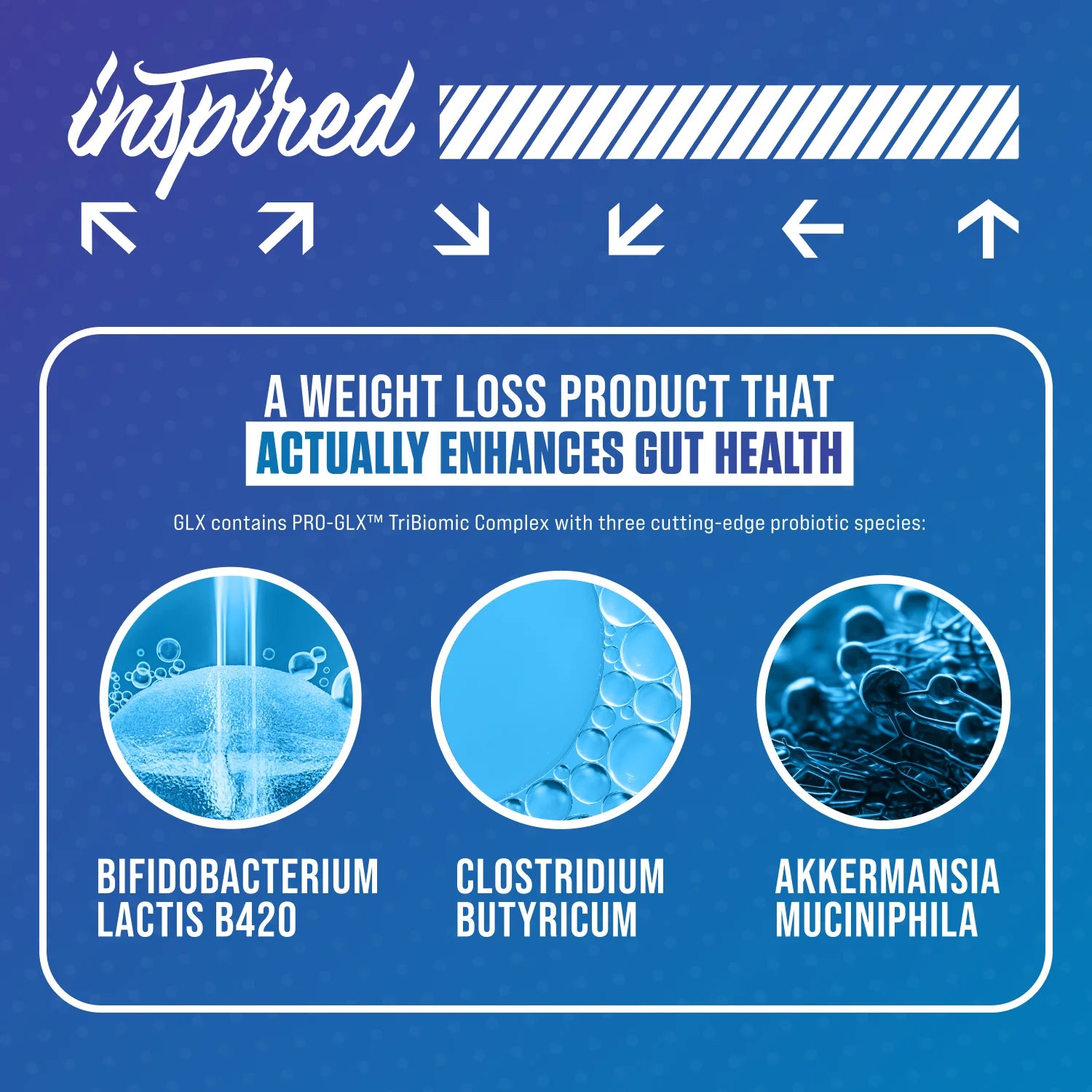 Inspired Nutraceuticals | GLX | Complete 4-in-1 Stim-Free System
