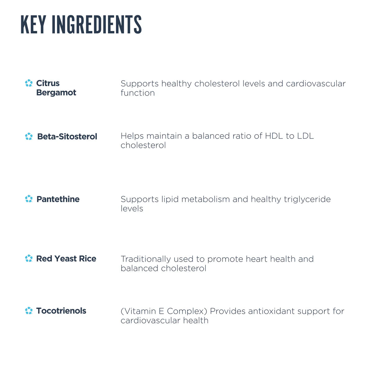 Revive | Lipid | 210 Tablets