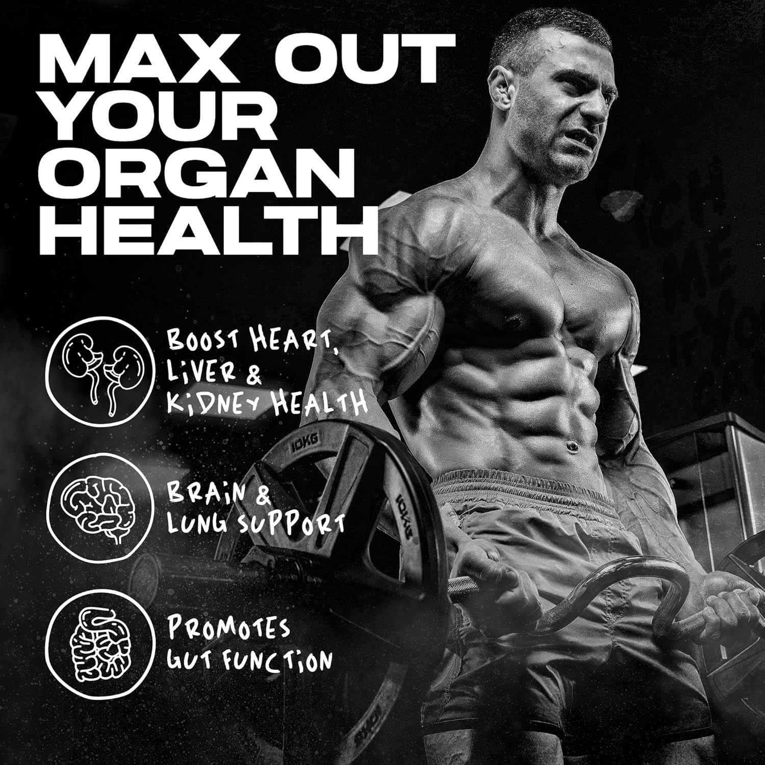 organx afterdark heart,liver,kidney health
