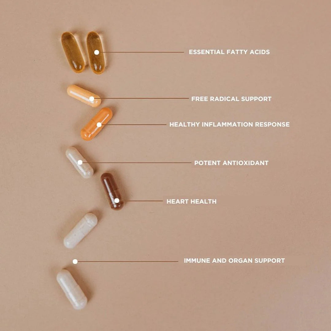 Revive MD | Essential Multi Vitamins Pack